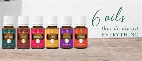 young living hk login